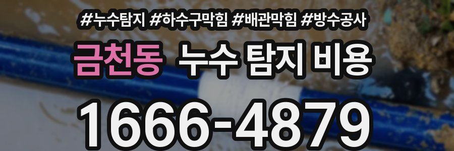 금천동 누수 탐지 비용