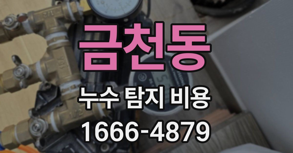 금천동 누수 탐지 비용