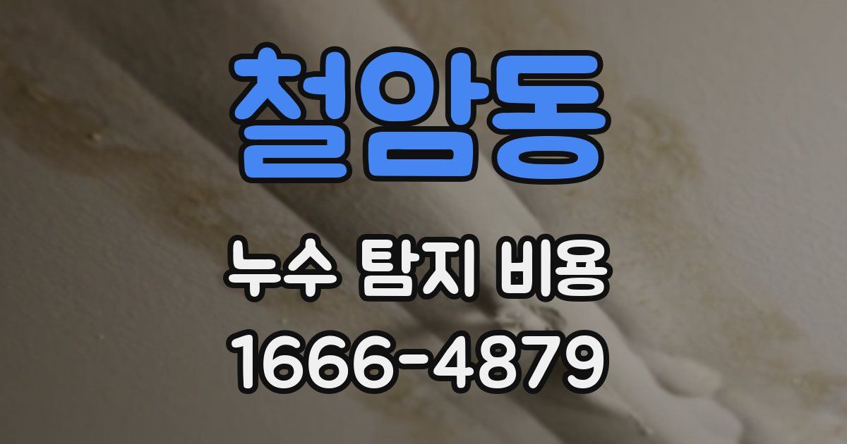 철암동 누수 탐지 비용