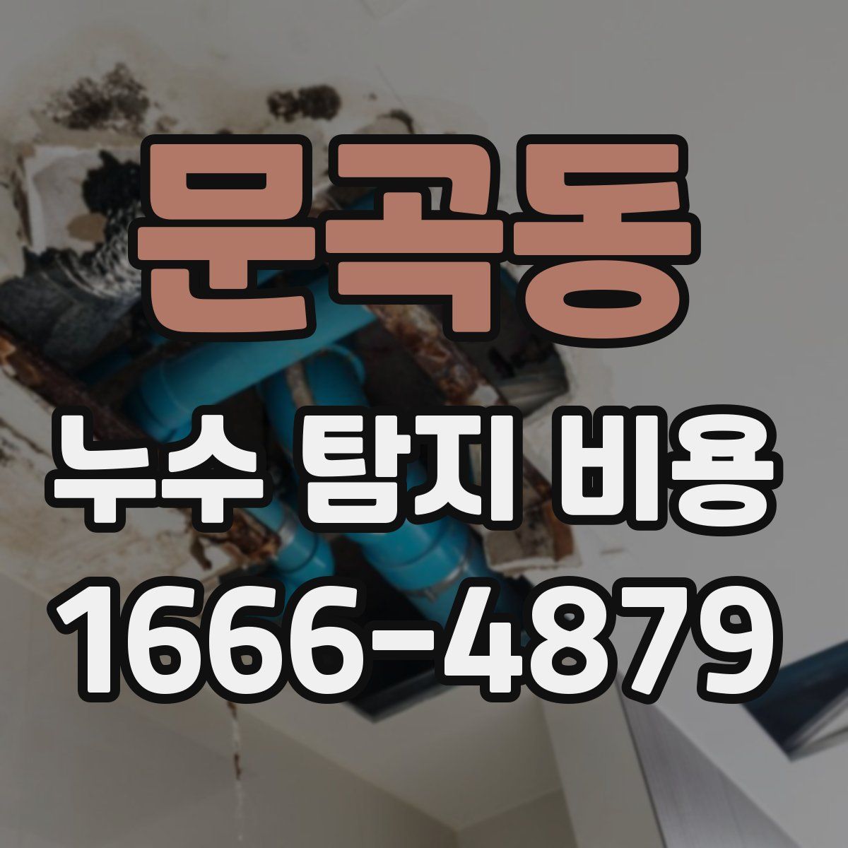 문곡동 누수 탐지 비용