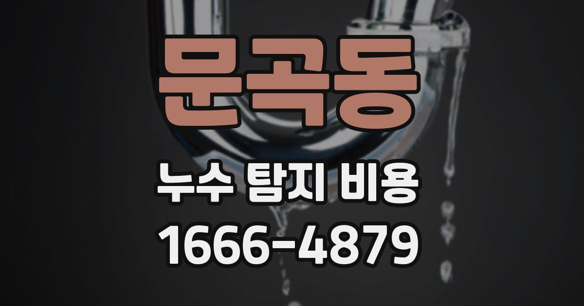 문곡동 누수 탐지 비용