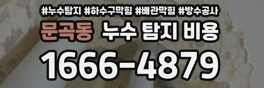 문곡동 누수 탐지 비용