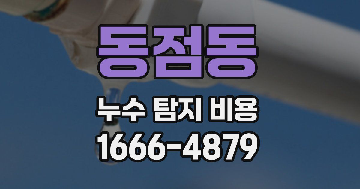 동점동 누수 탐지 비용
