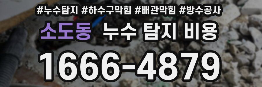 소도동 누수 탐지 비용