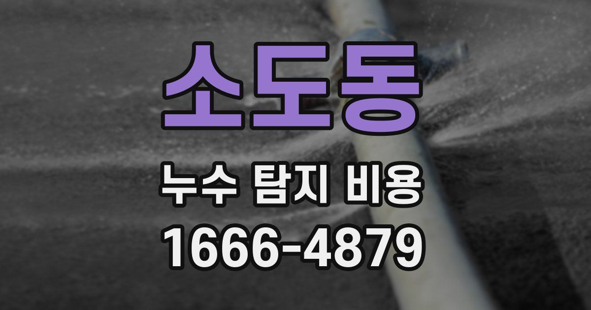 소도동 누수 탐지 비용