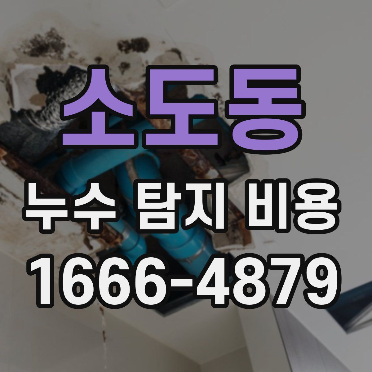 소도동 누수 탐지 비용