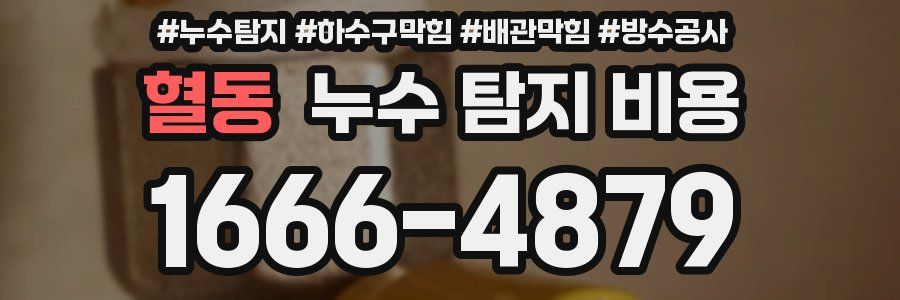 혈동 누수 탐지 비용