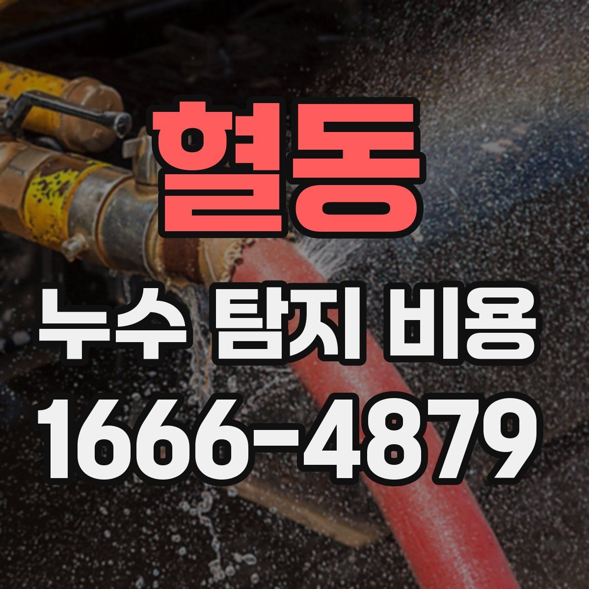 혈동 누수 탐지 비용