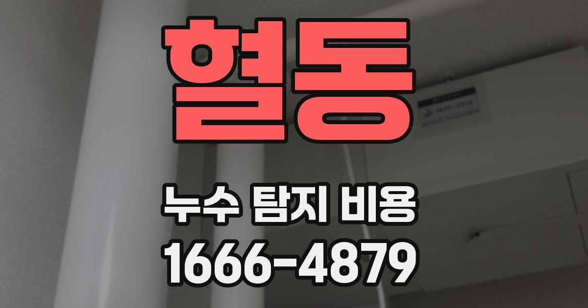 혈동 누수 탐지 비용