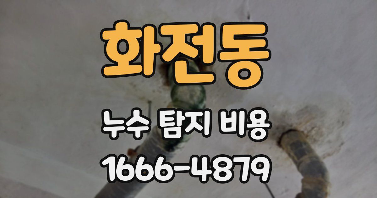 화전동 누수 탐지 비용