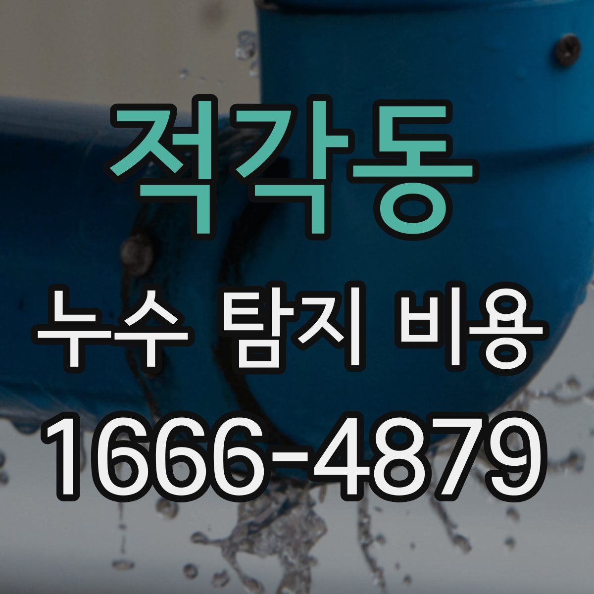 적각동 누수 탐지 비용