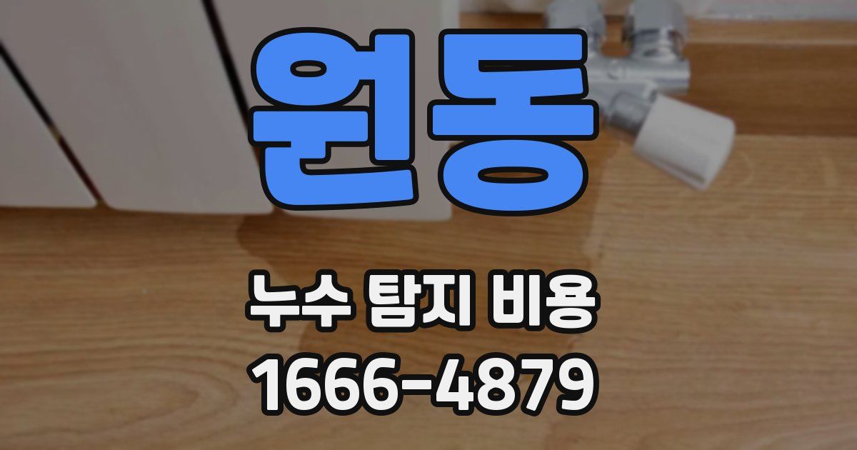 원동 누수 탐지 비용