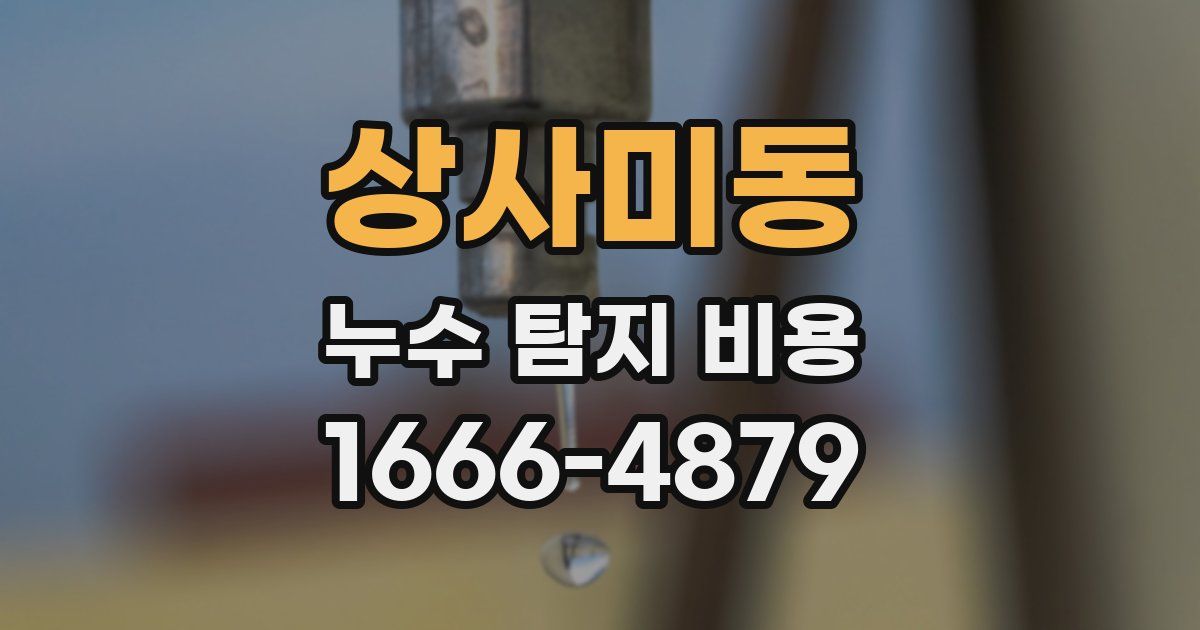 상사미동 누수 탐지 비용