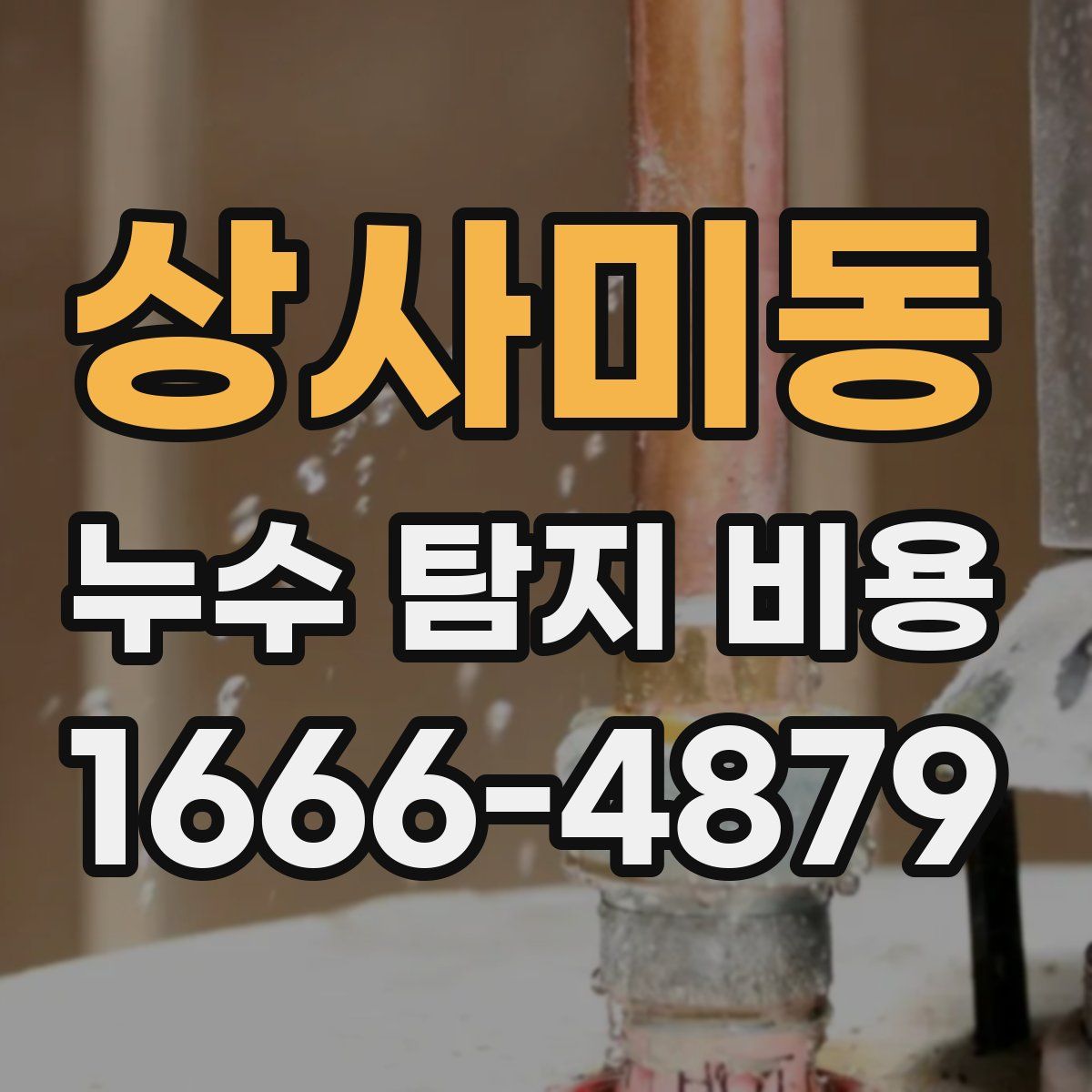 상사미동 누수 탐지 비용