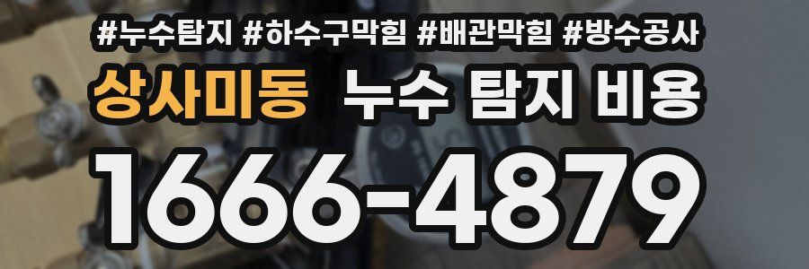 상사미동 누수 탐지 비용