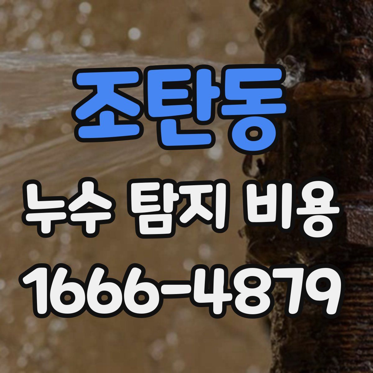 조탄동 누수 탐지 비용