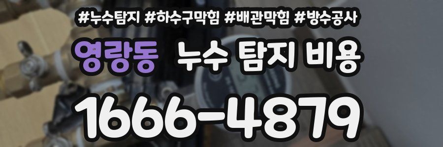 영랑동 누수 탐지 비용