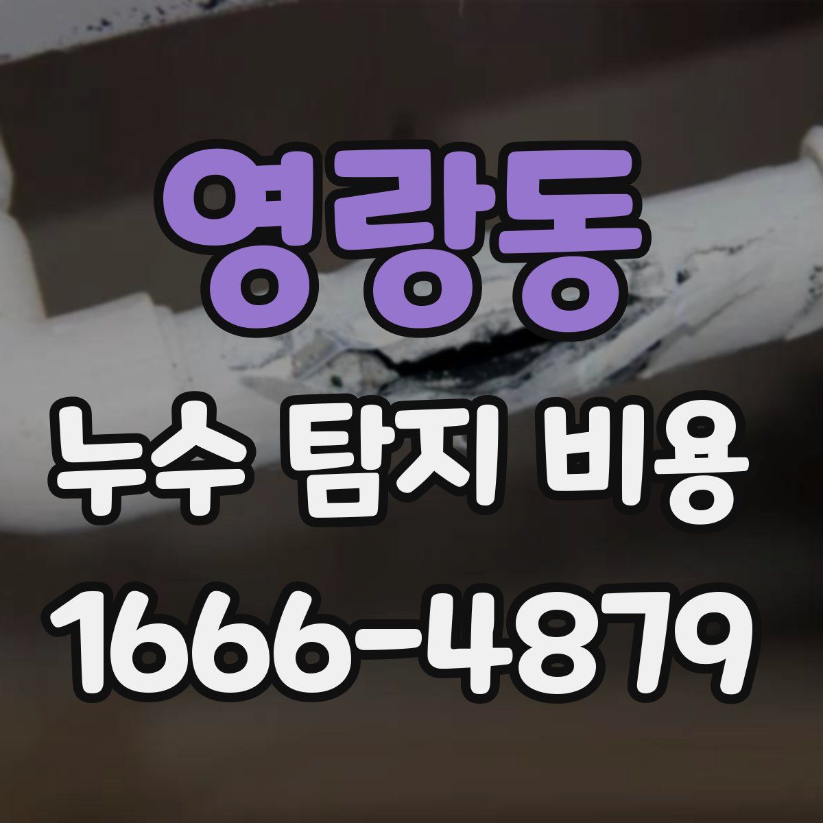 영랑동 누수 탐지 비용