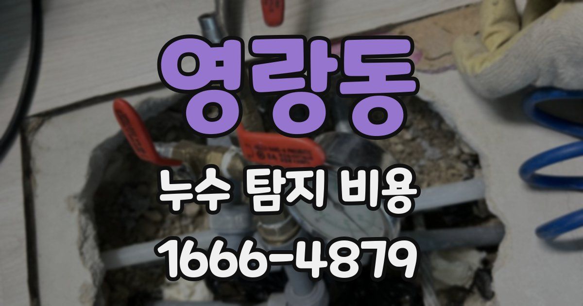 영랑동 누수 탐지 비용
