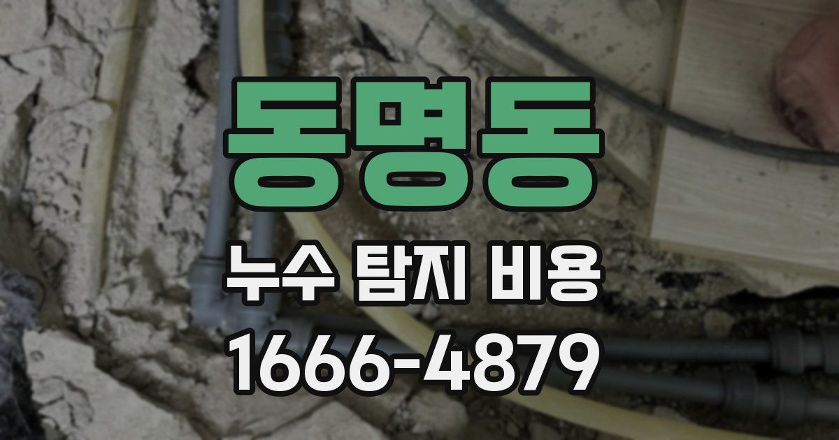 동명동 누수 탐지 비용