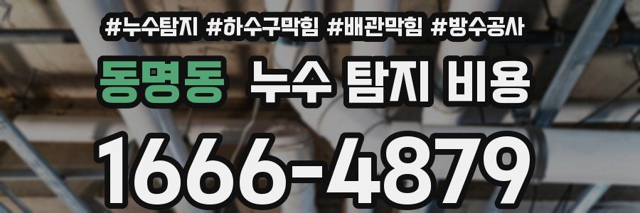 동명동 누수 탐지 비용