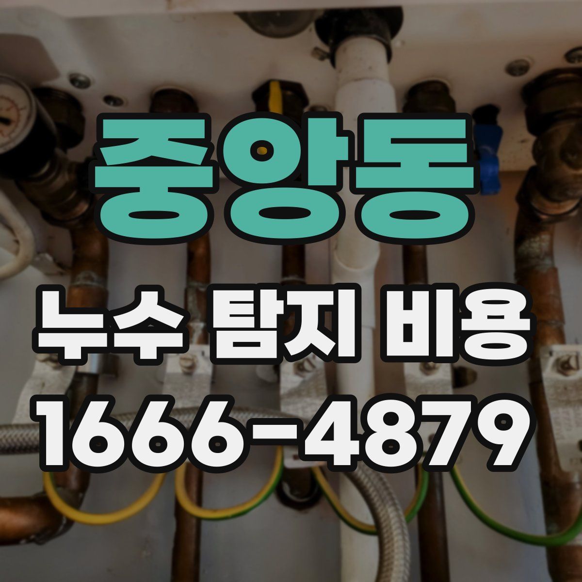 중앙동 누수 탐지 비용