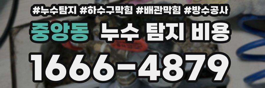 중앙동 누수 탐지 비용