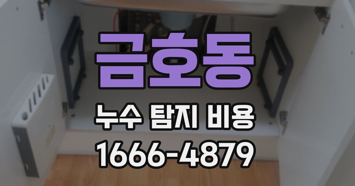 금호동 누수 탐지 비용