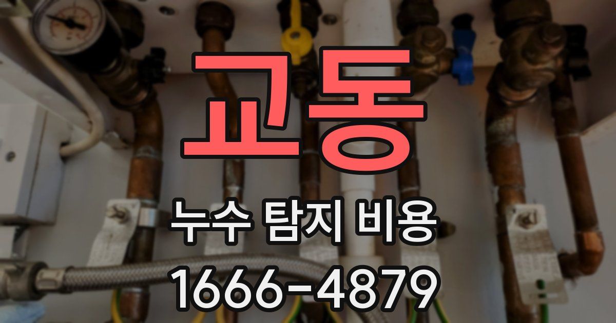 교동 누수 탐지 비용