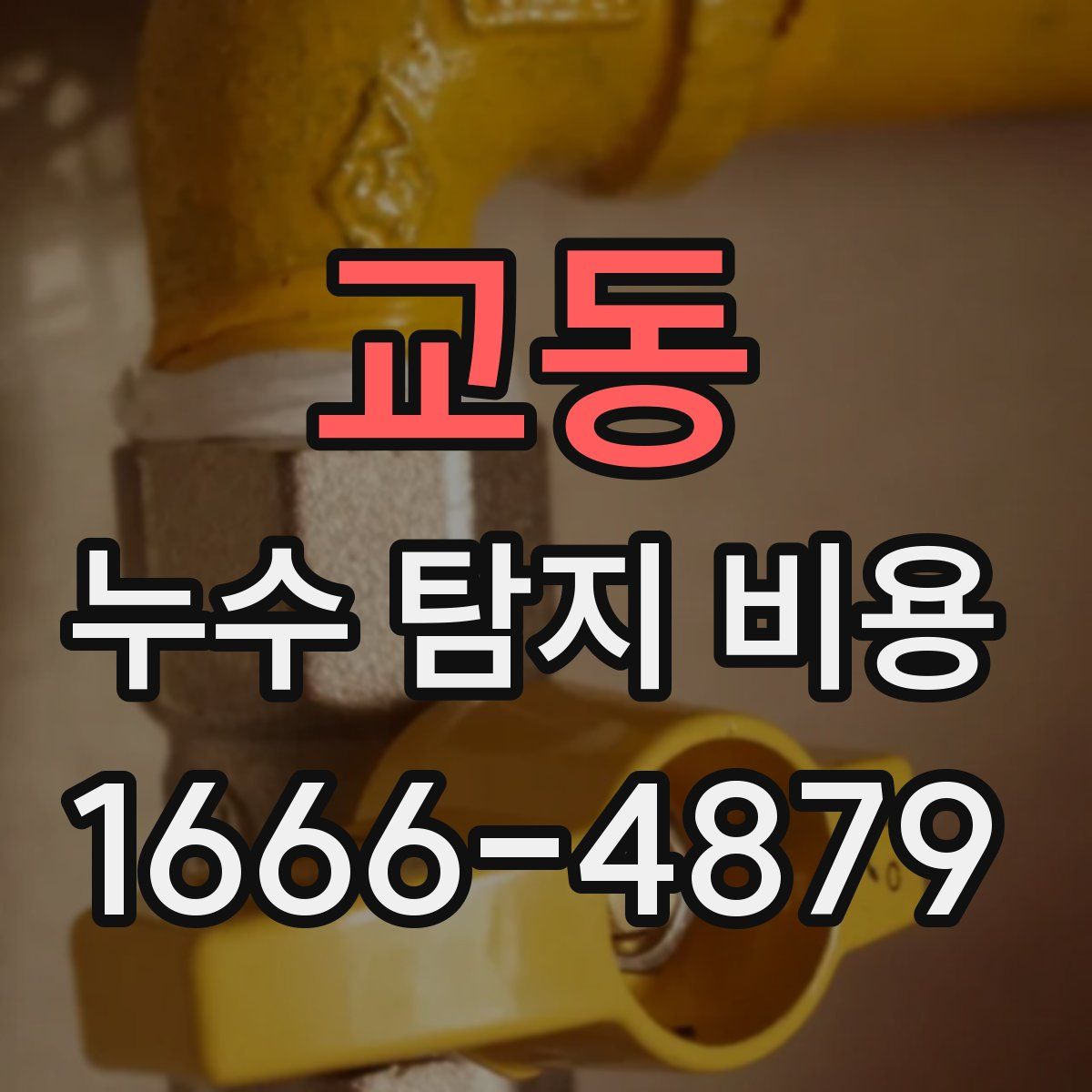 교동 누수 탐지 비용