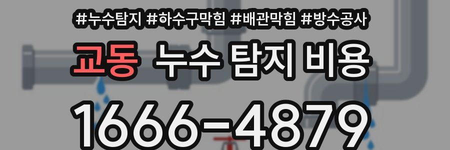 교동 누수 탐지 비용