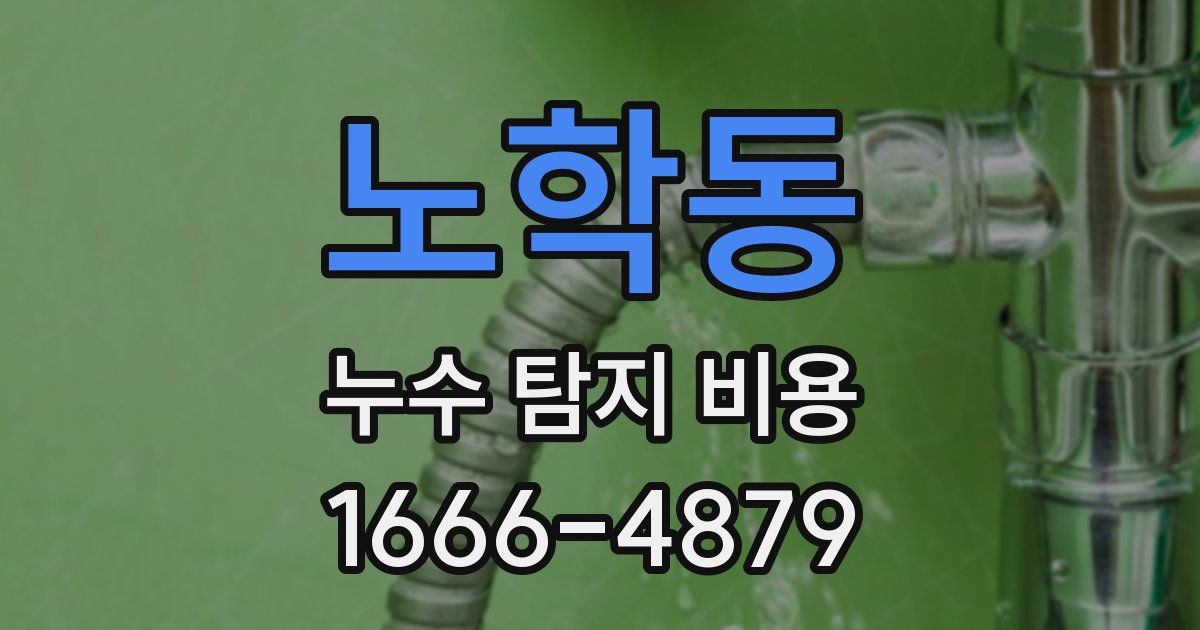 노학동 누수 탐지 비용