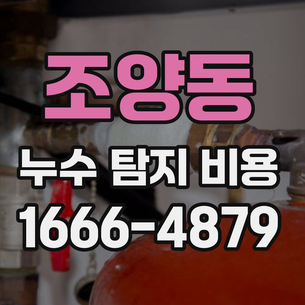 조양동 누수 탐지 비용