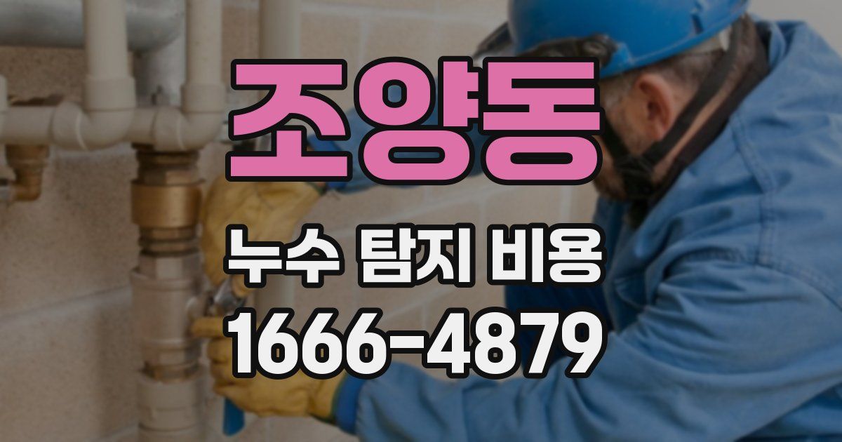 조양동 누수 탐지 비용