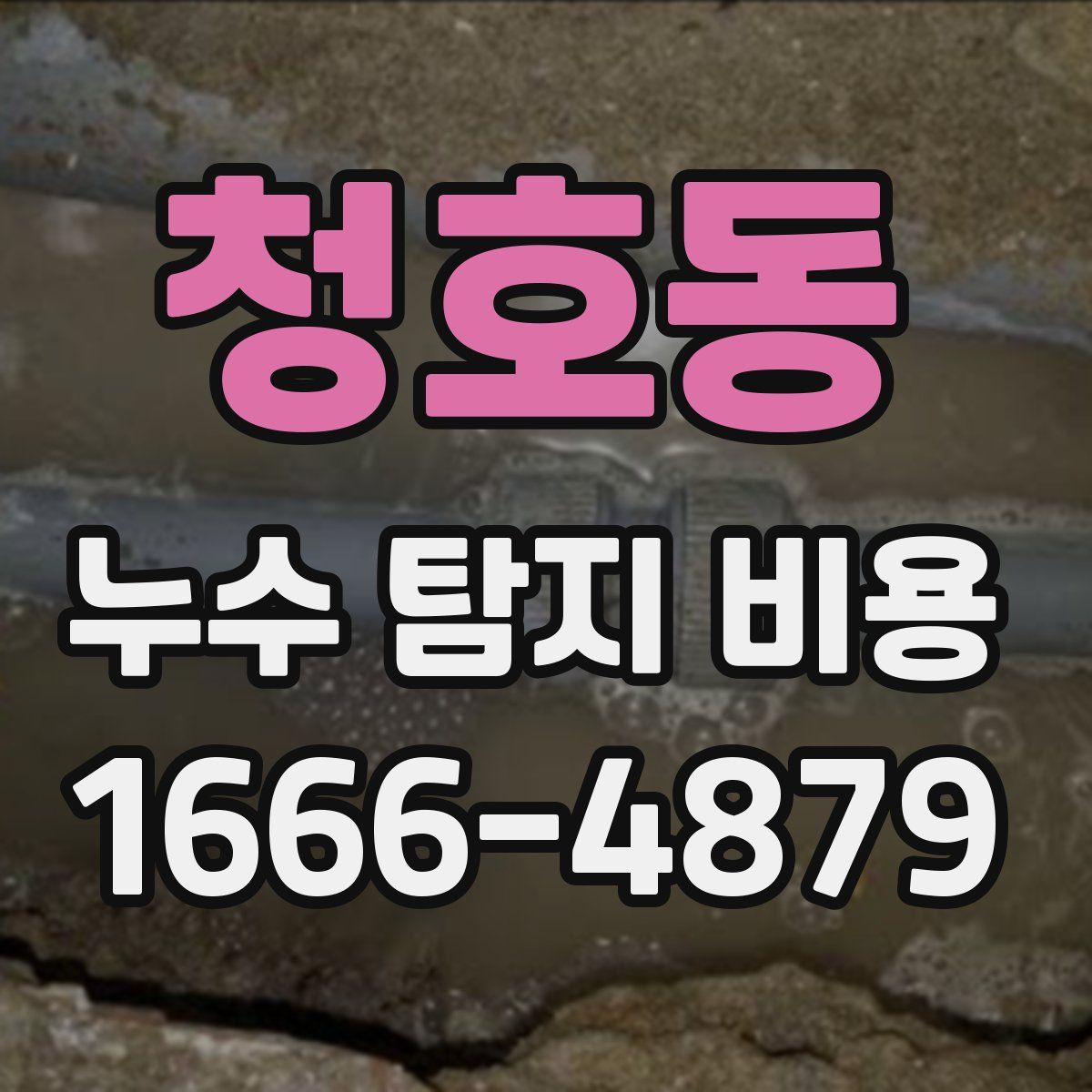 청호동 누수 탐지 비용