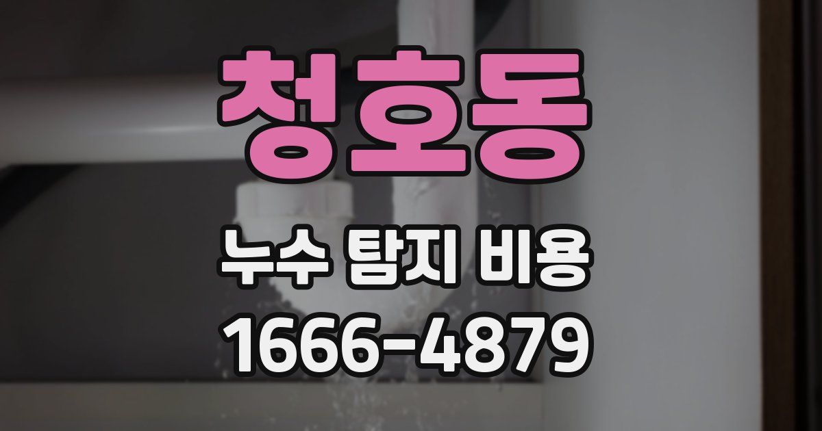 청호동 누수 탐지 비용