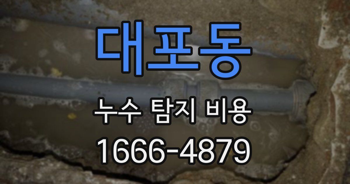 대포동 누수 탐지 비용