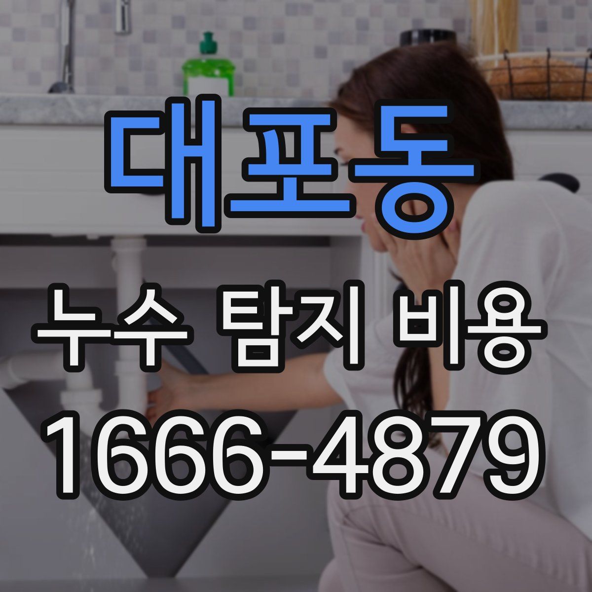대포동 누수 탐지 비용