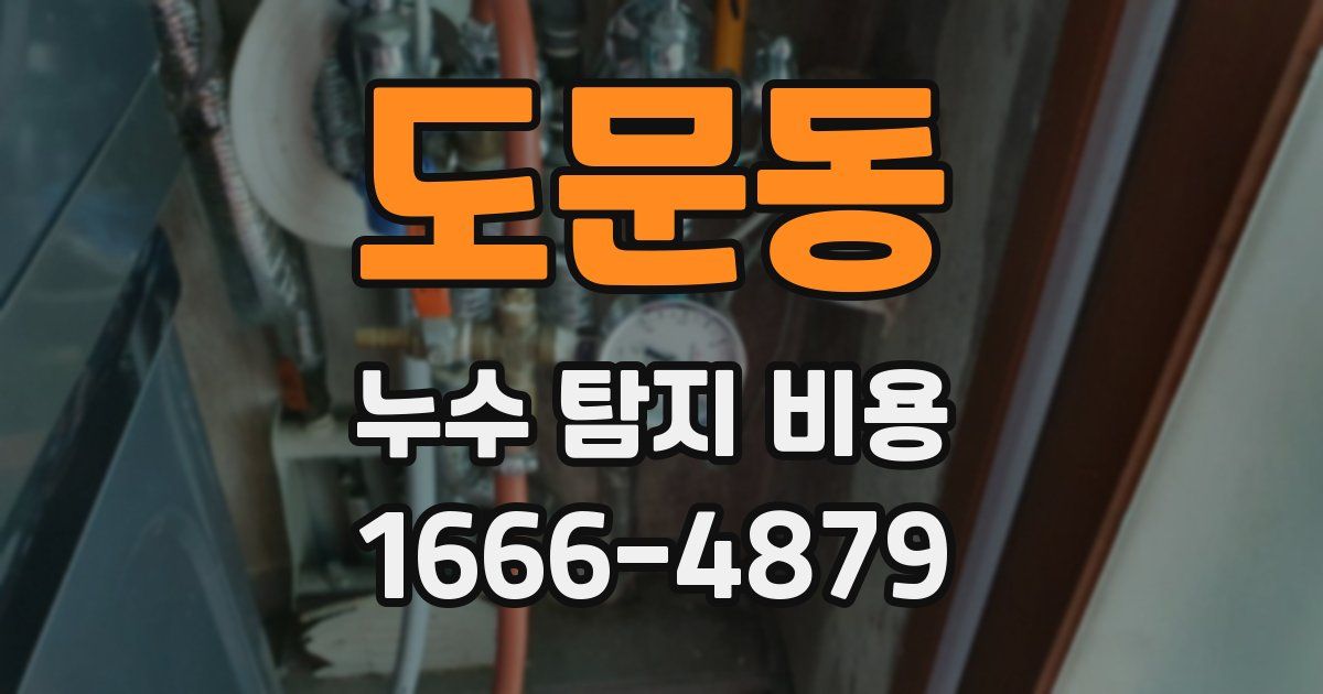 도문동 누수 탐지 비용