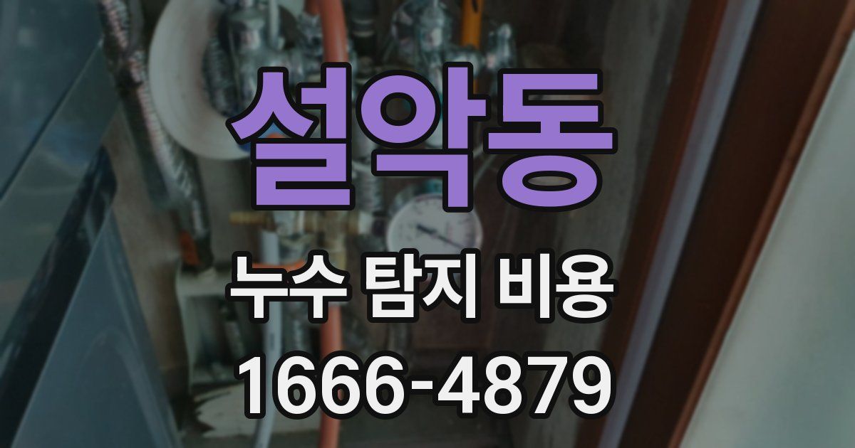 설악동 누수 탐지 비용