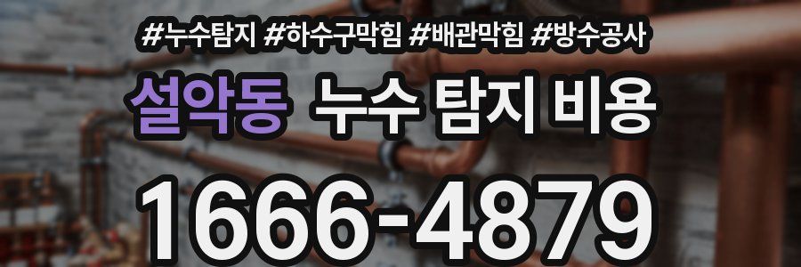 설악동 누수 탐지 비용