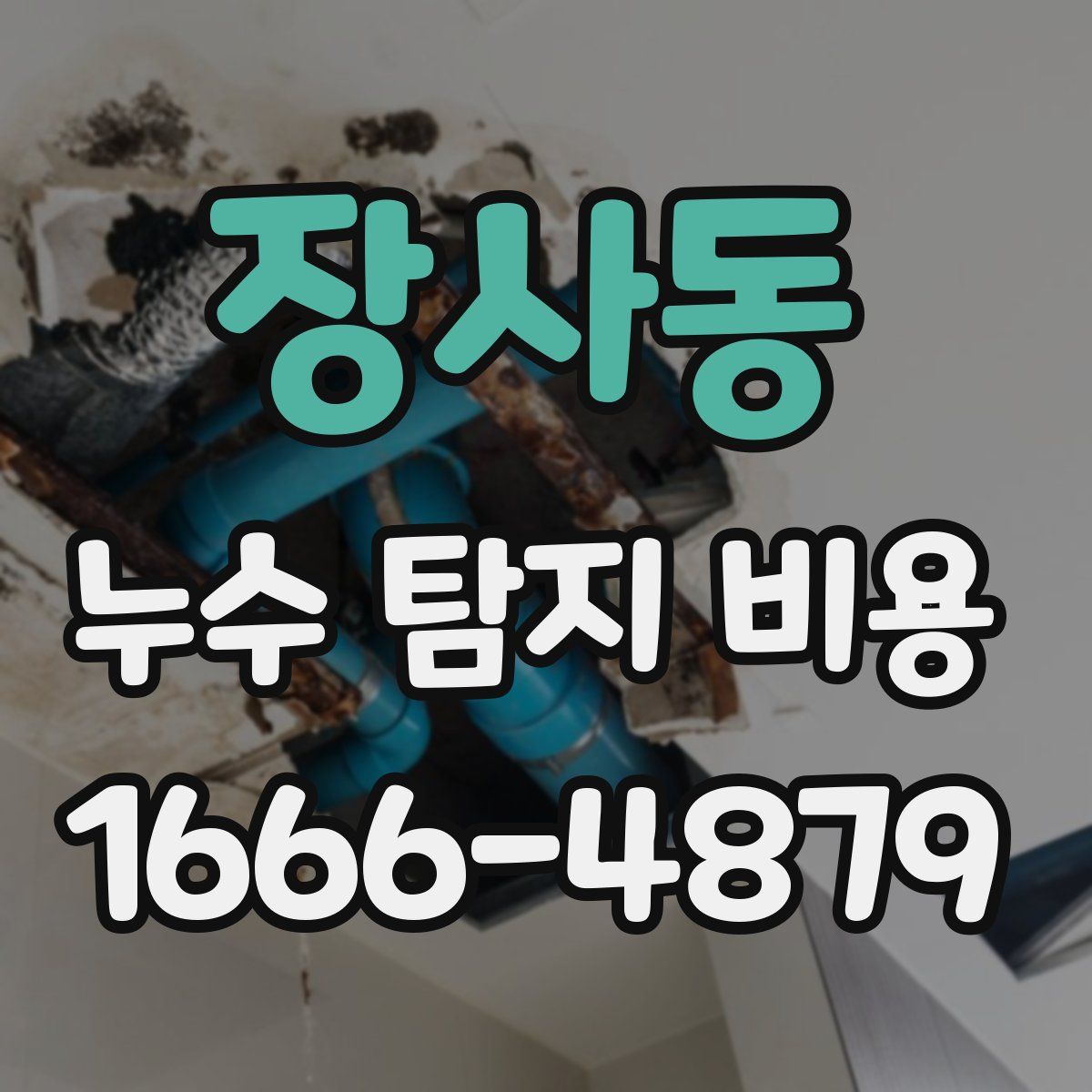 장사동 누수 탐지 비용