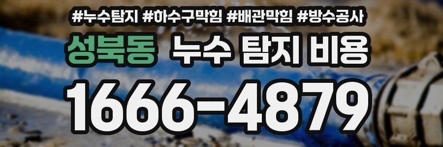 성북동 누수 탐지 비용