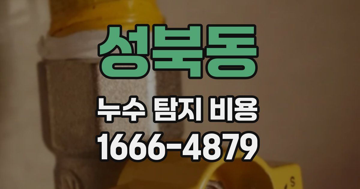 성북동 누수 탐지 비용