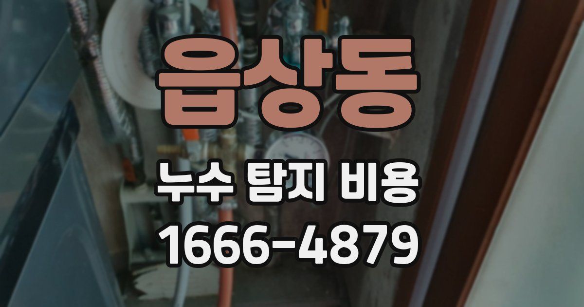 읍상동 누수 탐지 비용