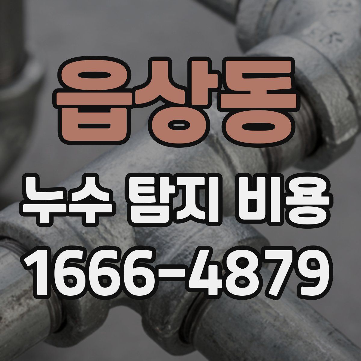 읍상동 누수 탐지 비용