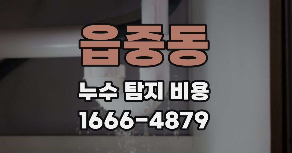 읍중동 누수 탐지 비용