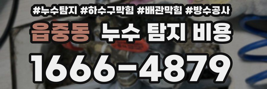 읍중동 누수 탐지 비용