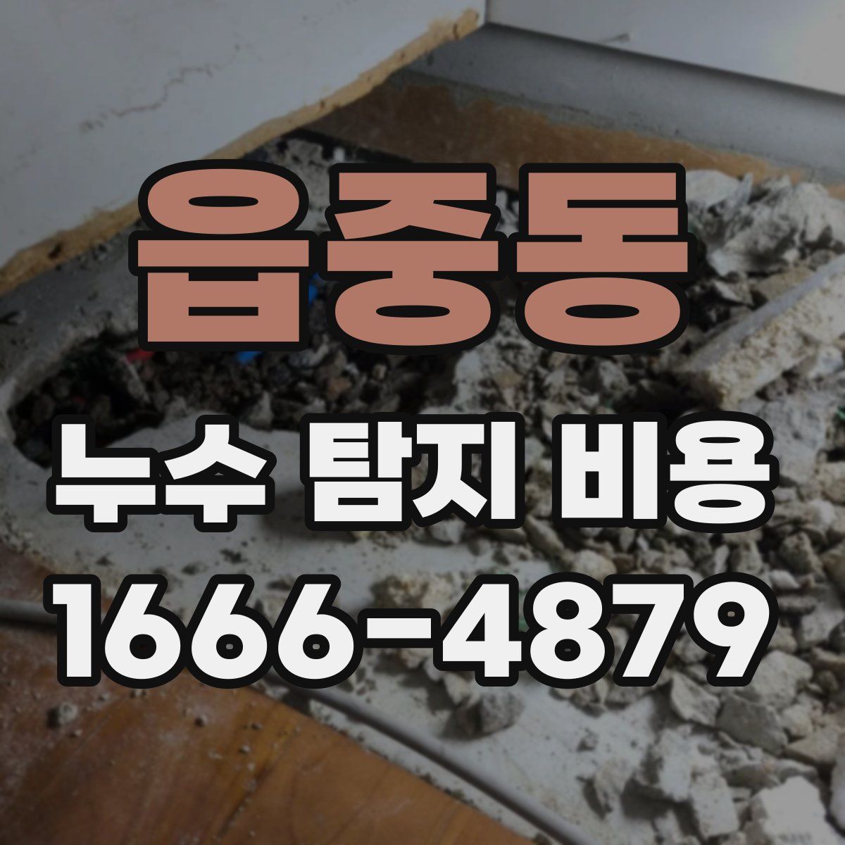 읍중동 누수 탐지 비용