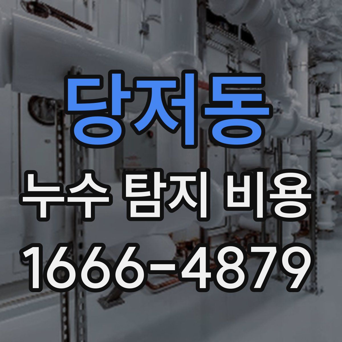 당저동 누수 탐지 비용